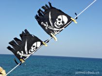 Pirate Flag Private Dock